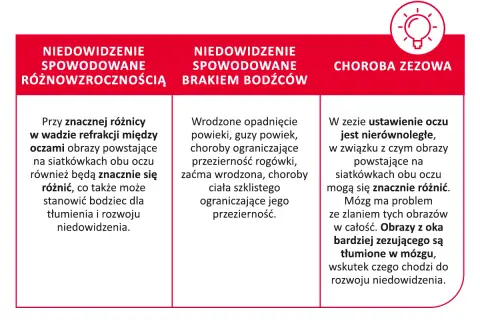 Trzy przyczyny niedowidzenia: różnowzroczność, brak bodźców (np. opadnięta powieka) i zez. Obrazy z oka zezującego są tłumione, co prowadzi do rozwoju niedowidzenia.