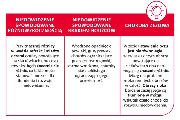 Trzy przyczyny niedowidzenia: różnowzroczność, brak bodźców (np. opadnięta powieka) i zez. Obrazy z oka zezującego są tłumione, co prowadzi do rozwoju niedowidzenia.